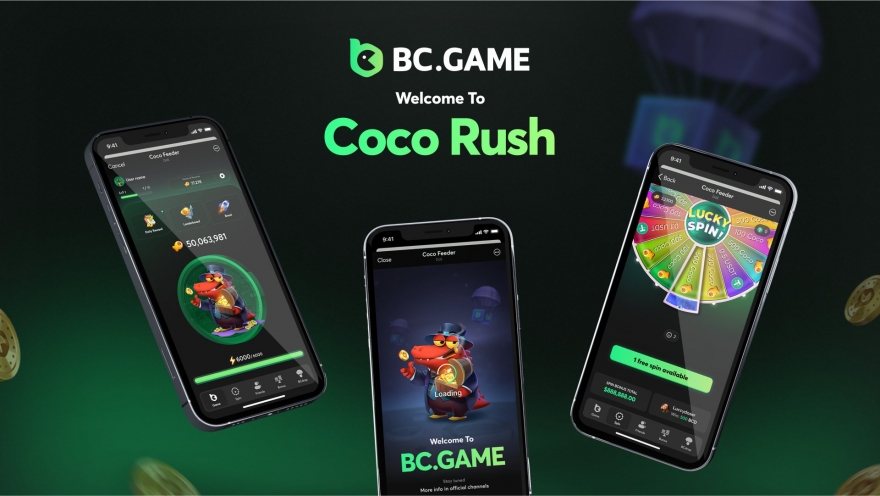 Experience the Excitement of BC Game Betting